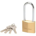 master lock 2950EURDLJ